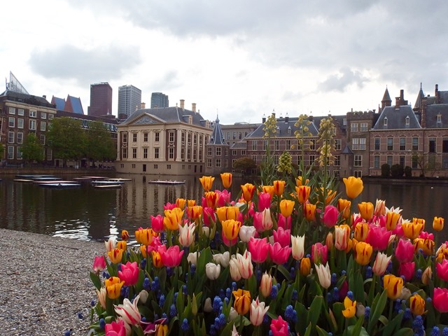 view on Mauritshuis and Inner Court, the Hague