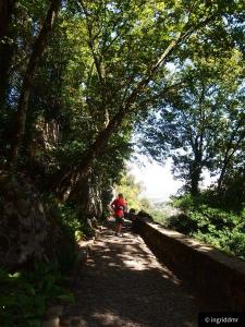 Pena Palace Sintra gardens