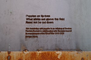 Tervuren poppy installation