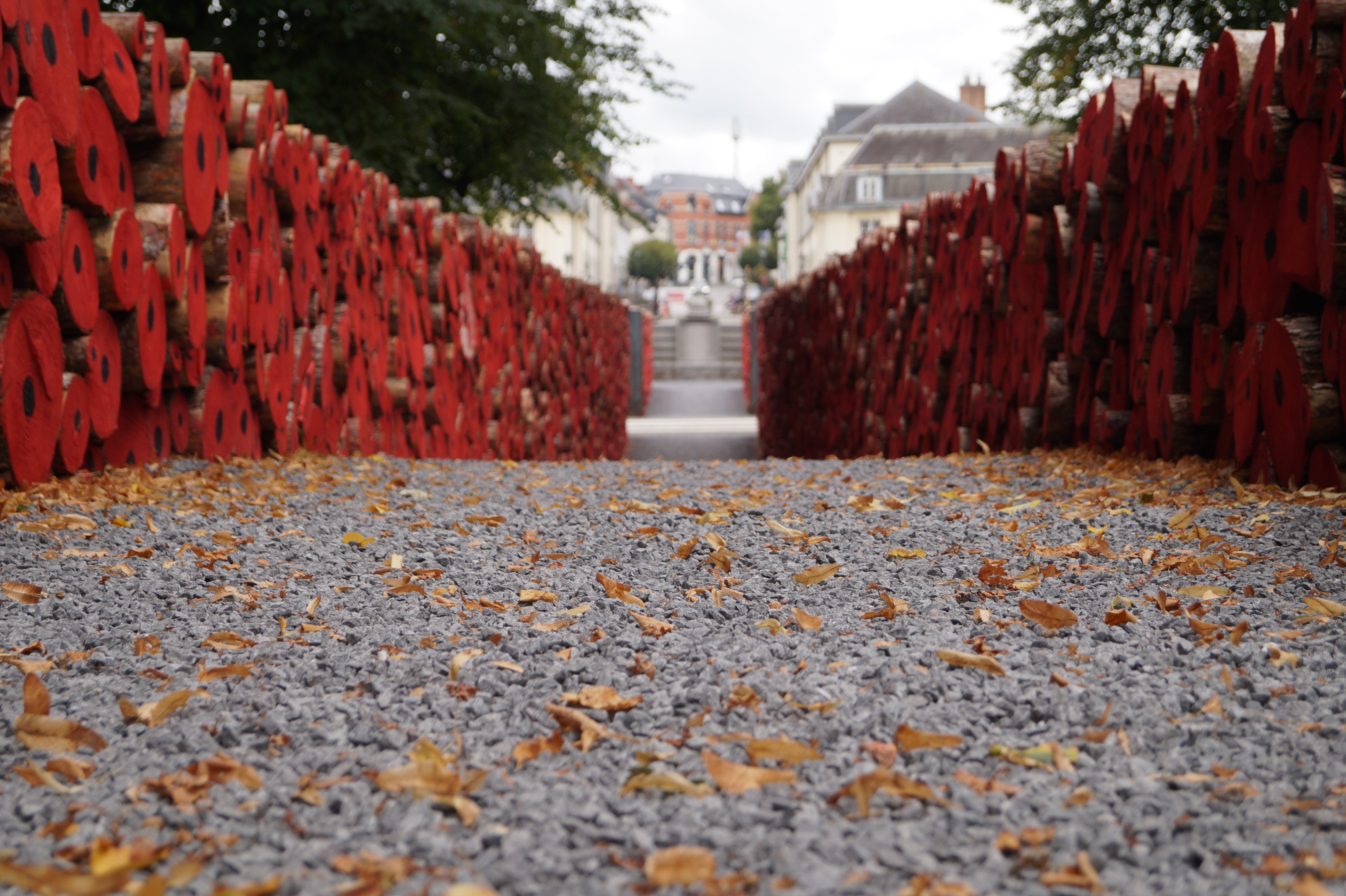 Tervuren poppy installation