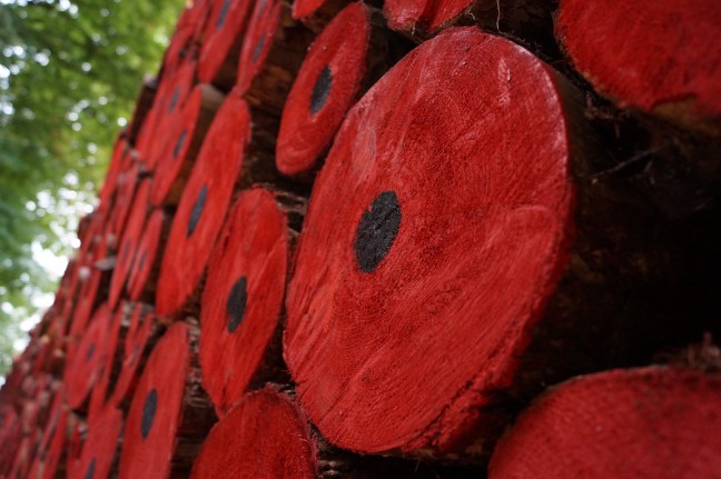 Tervuren poppy installation