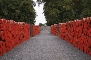 Tervuren poppy installation