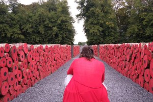 Tervuren poppy installation