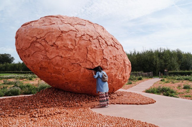 CWxRM Palingbeek Ypres