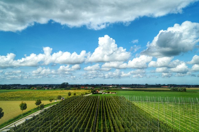 Bar Bernard Watou Westhoek