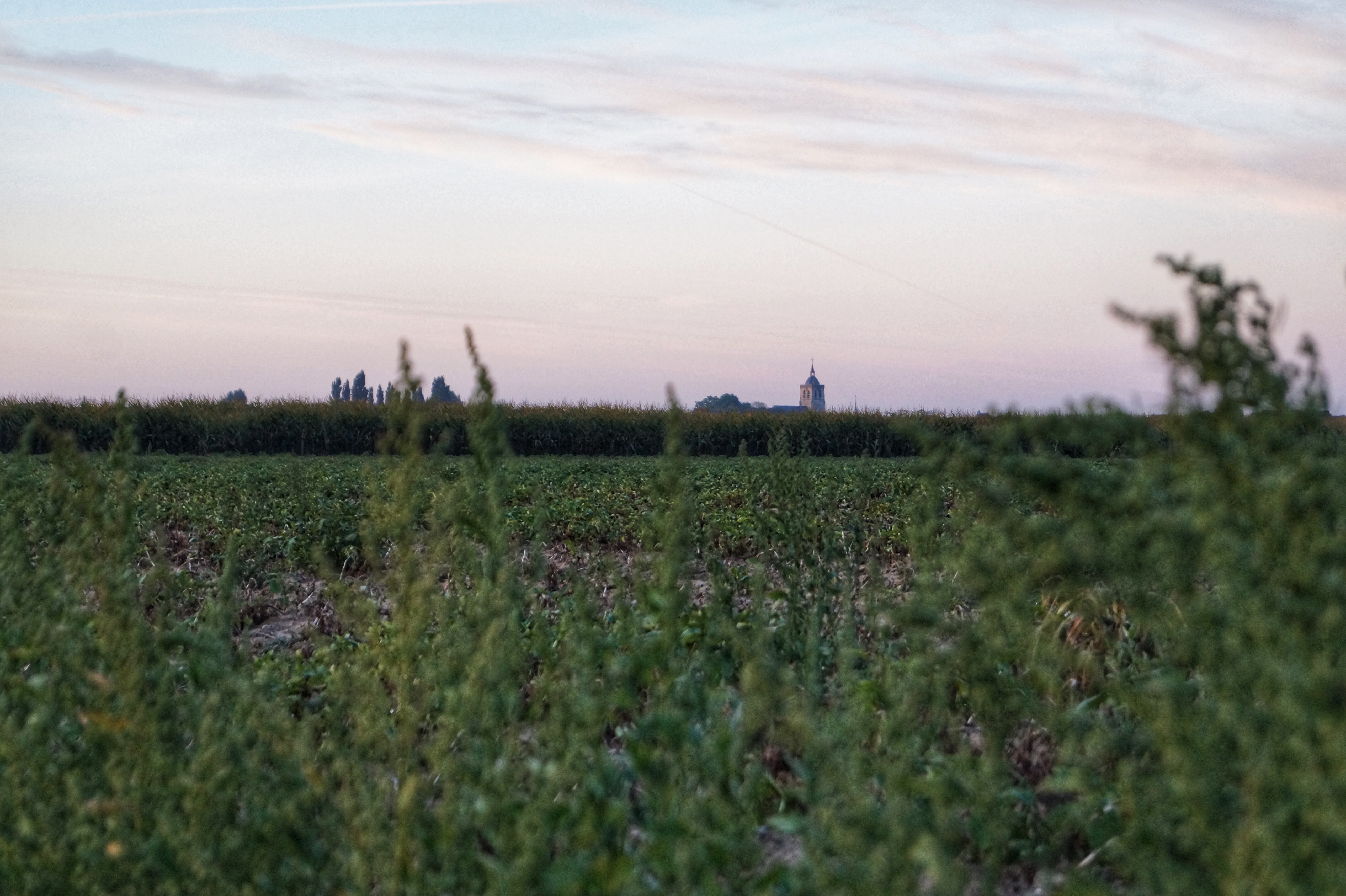 Flanders fields Poperinge