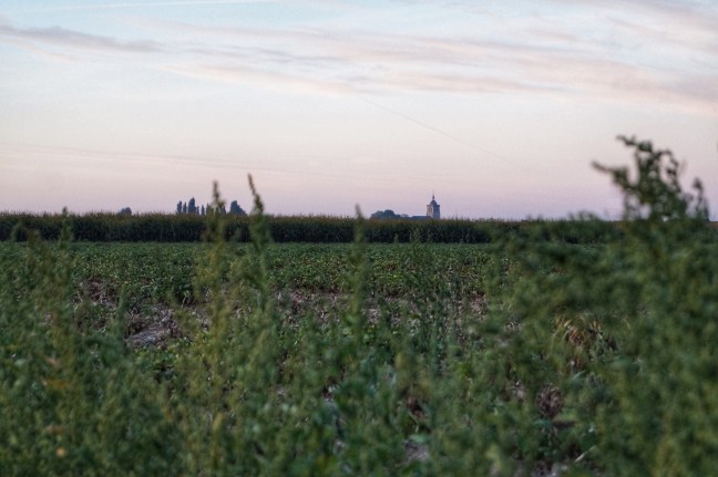 Flanders fields Poperinge
