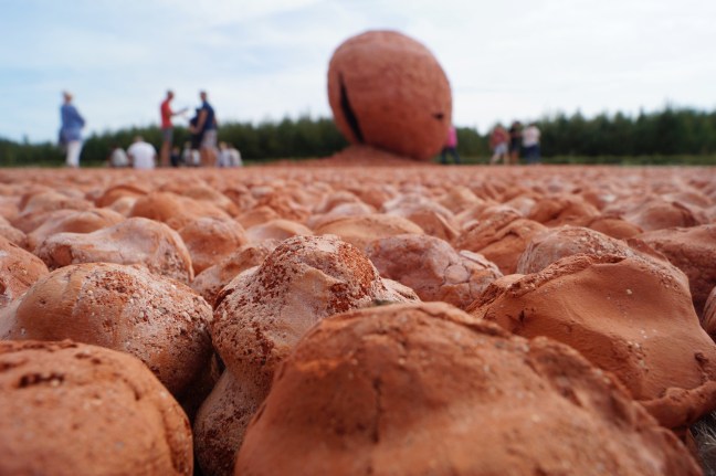 CMxRW Palingbeek Ypres