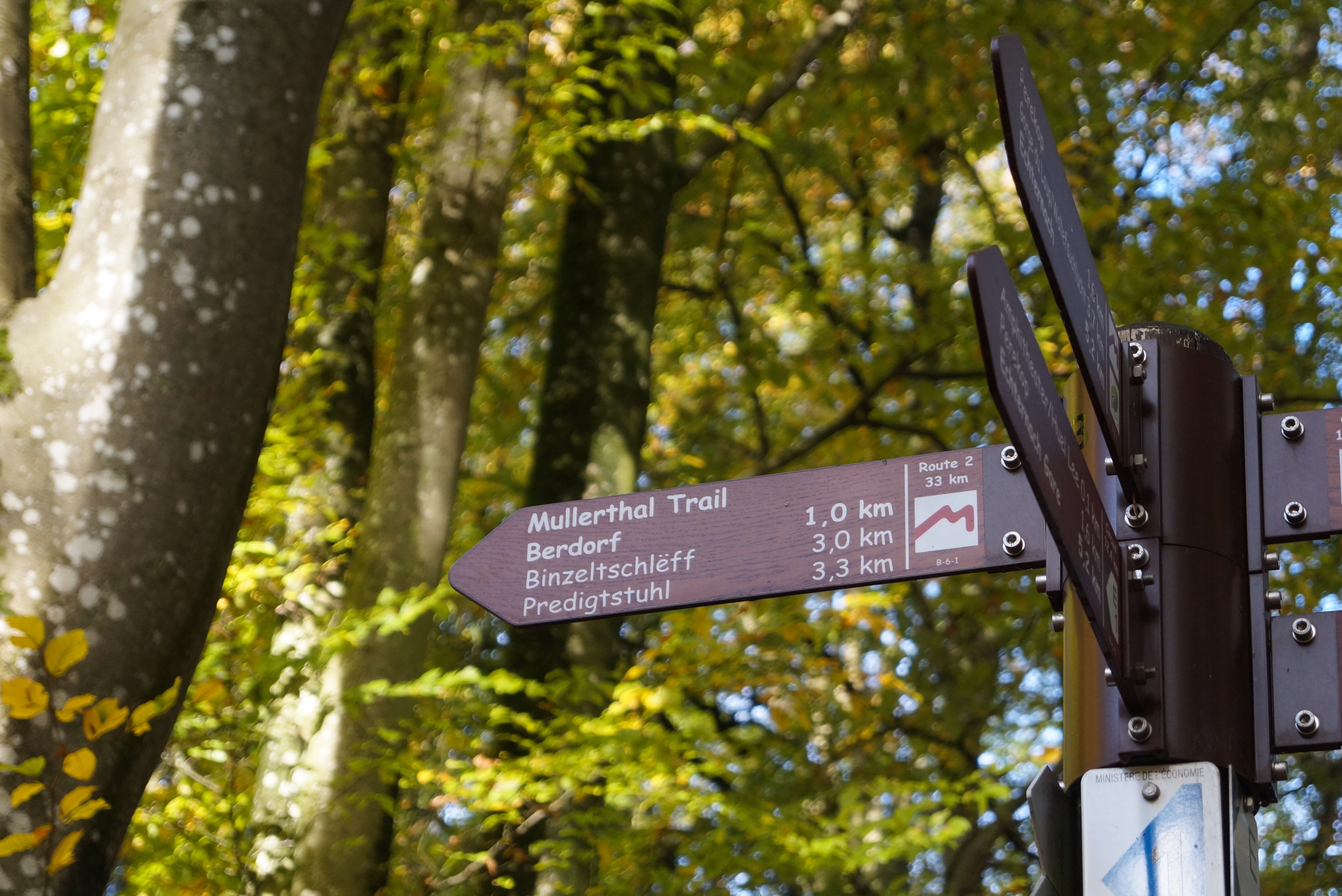 Mullerthal trail Luxemburg