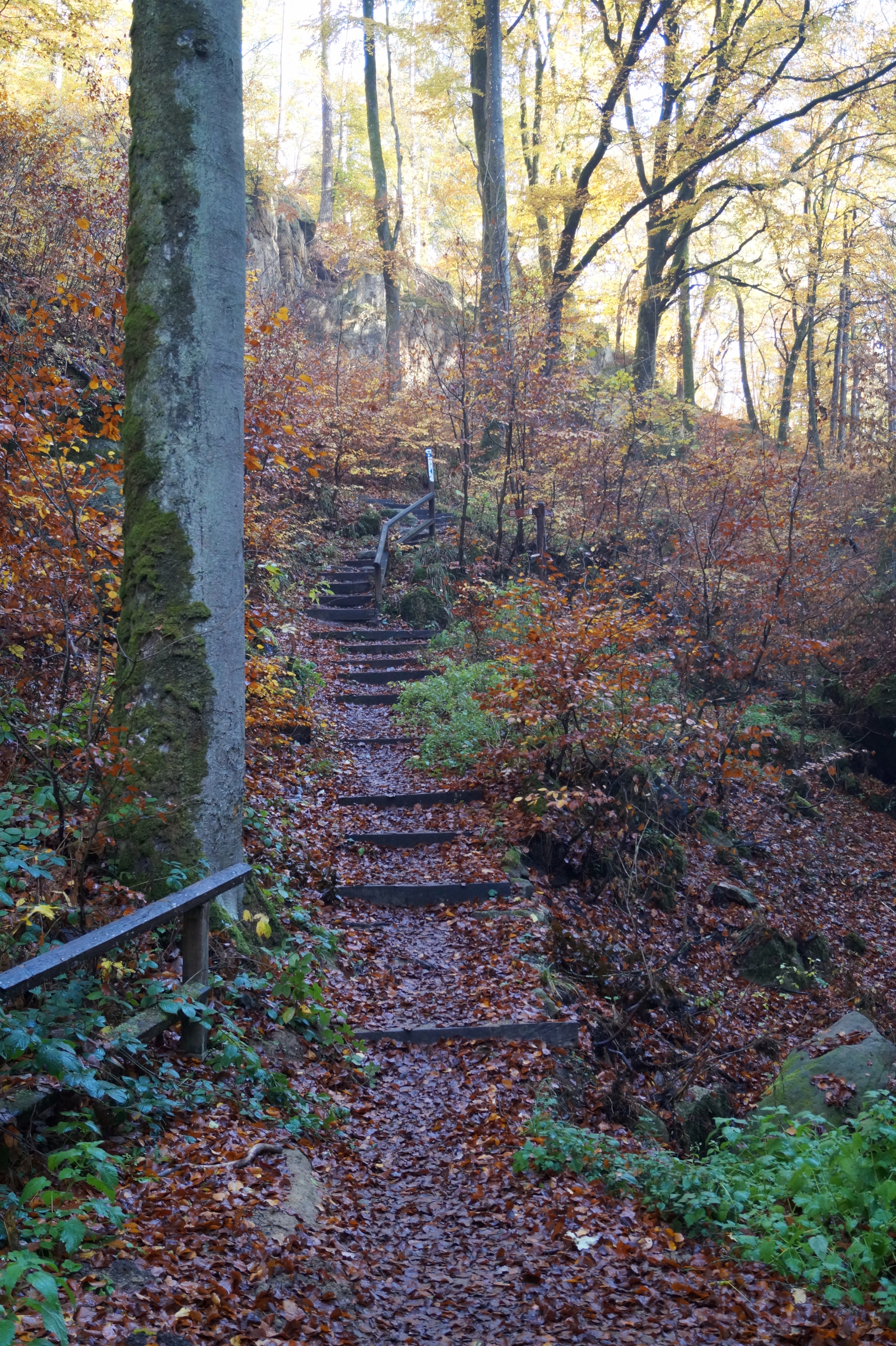 Berdorf Müllerthal Luxemburg