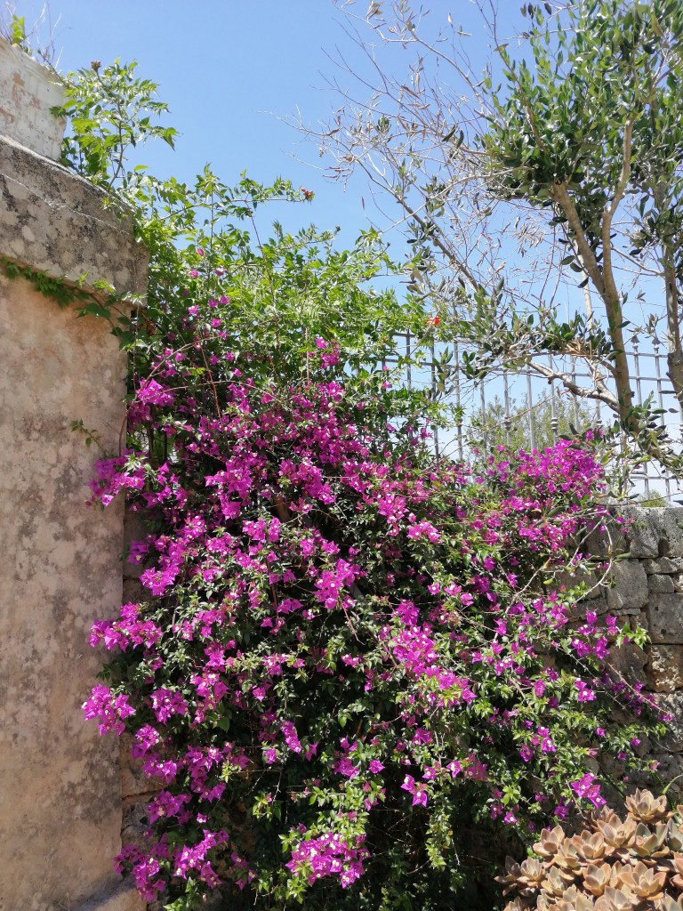 Li Calizzi Novoli Puglia