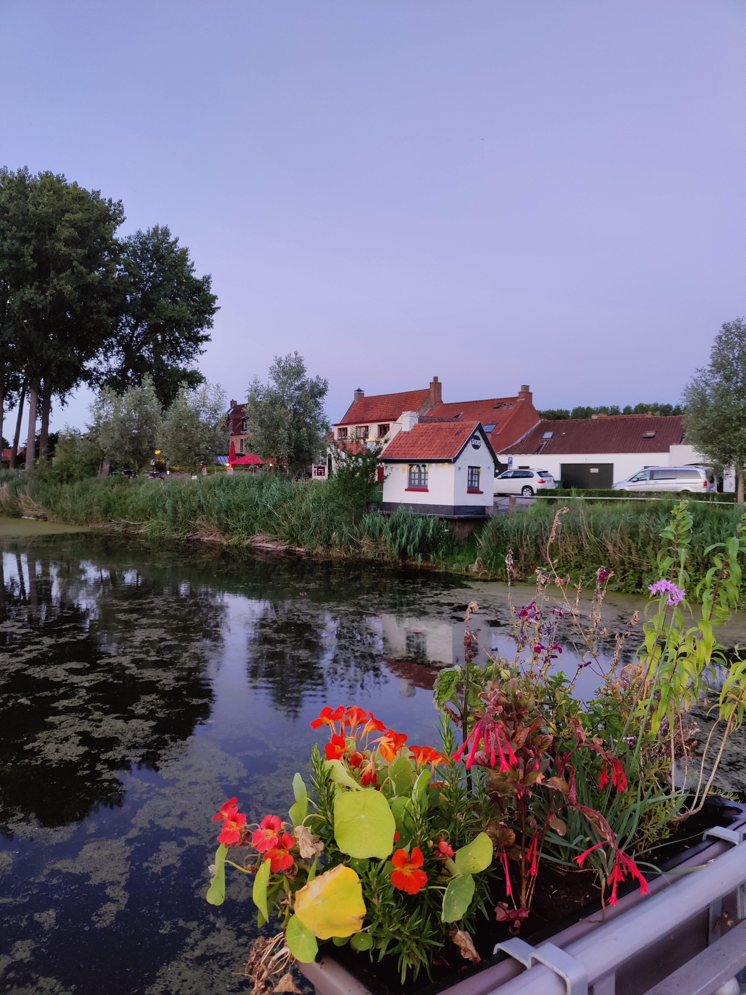 typical houses at canal Damme