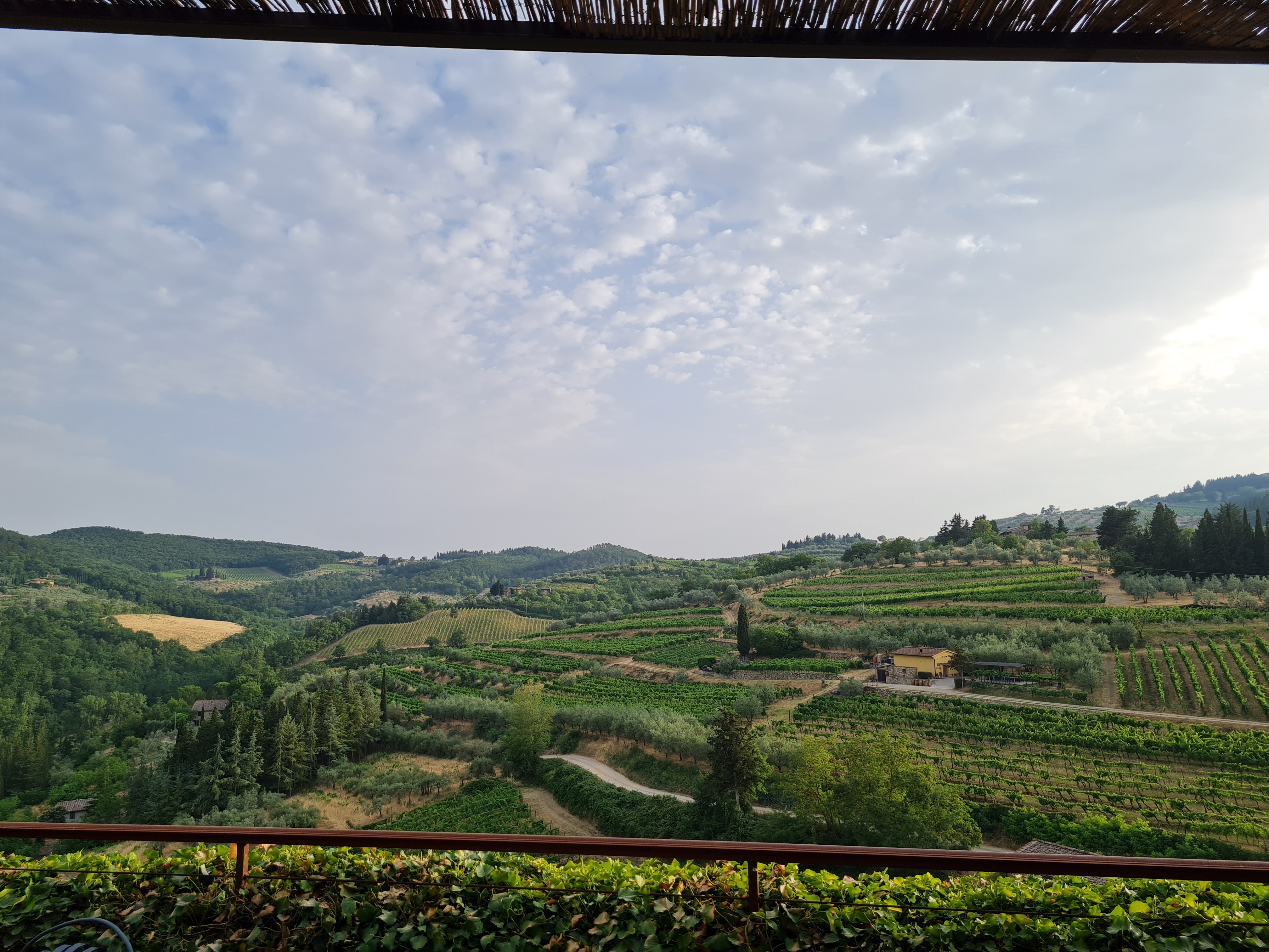 view on Chianti region seen from Il Guerrino