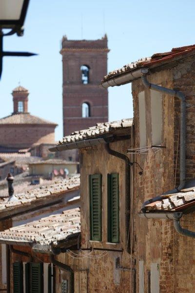 Siena view on street and bell tower