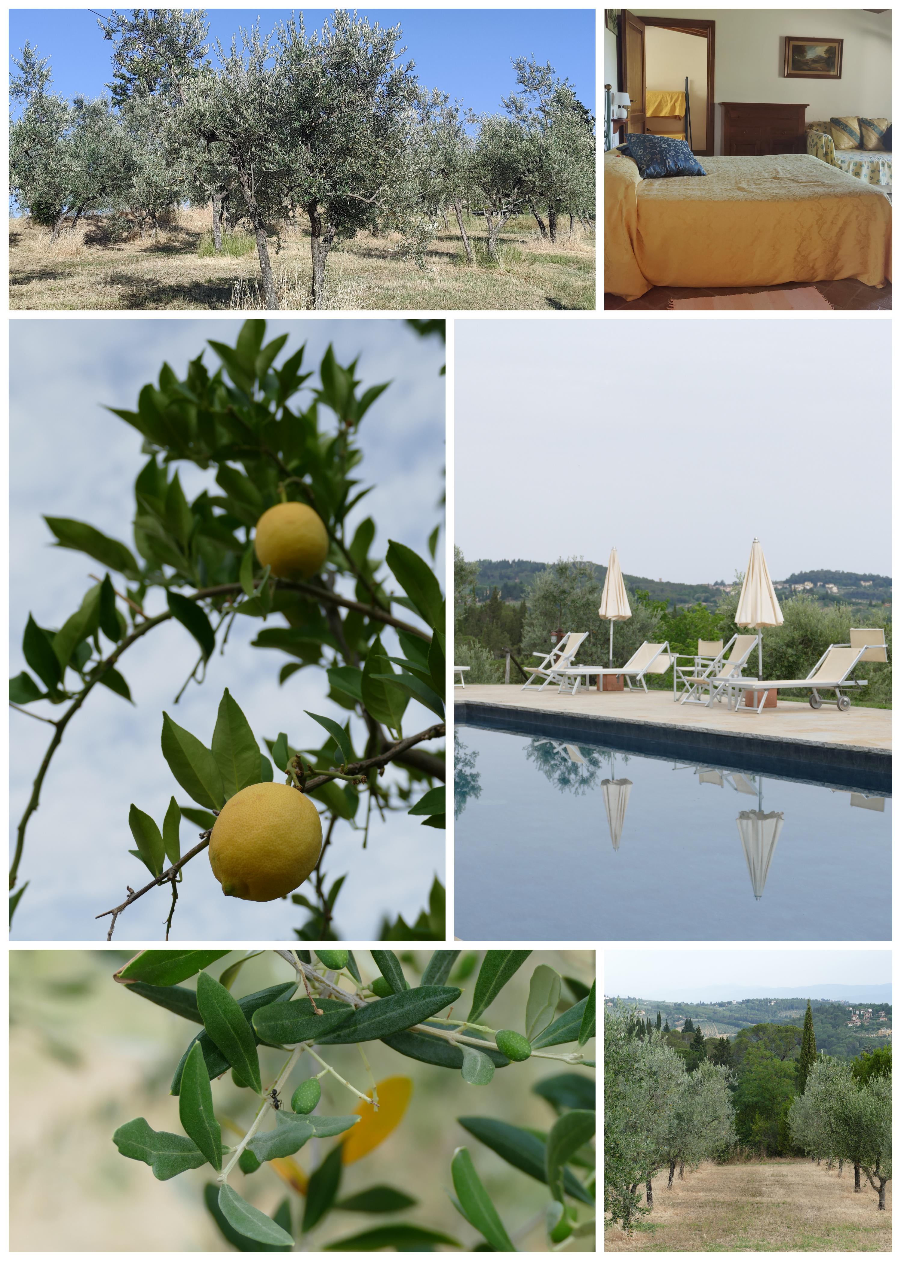 La Presura collage of the agriturismo swimming area and garden
