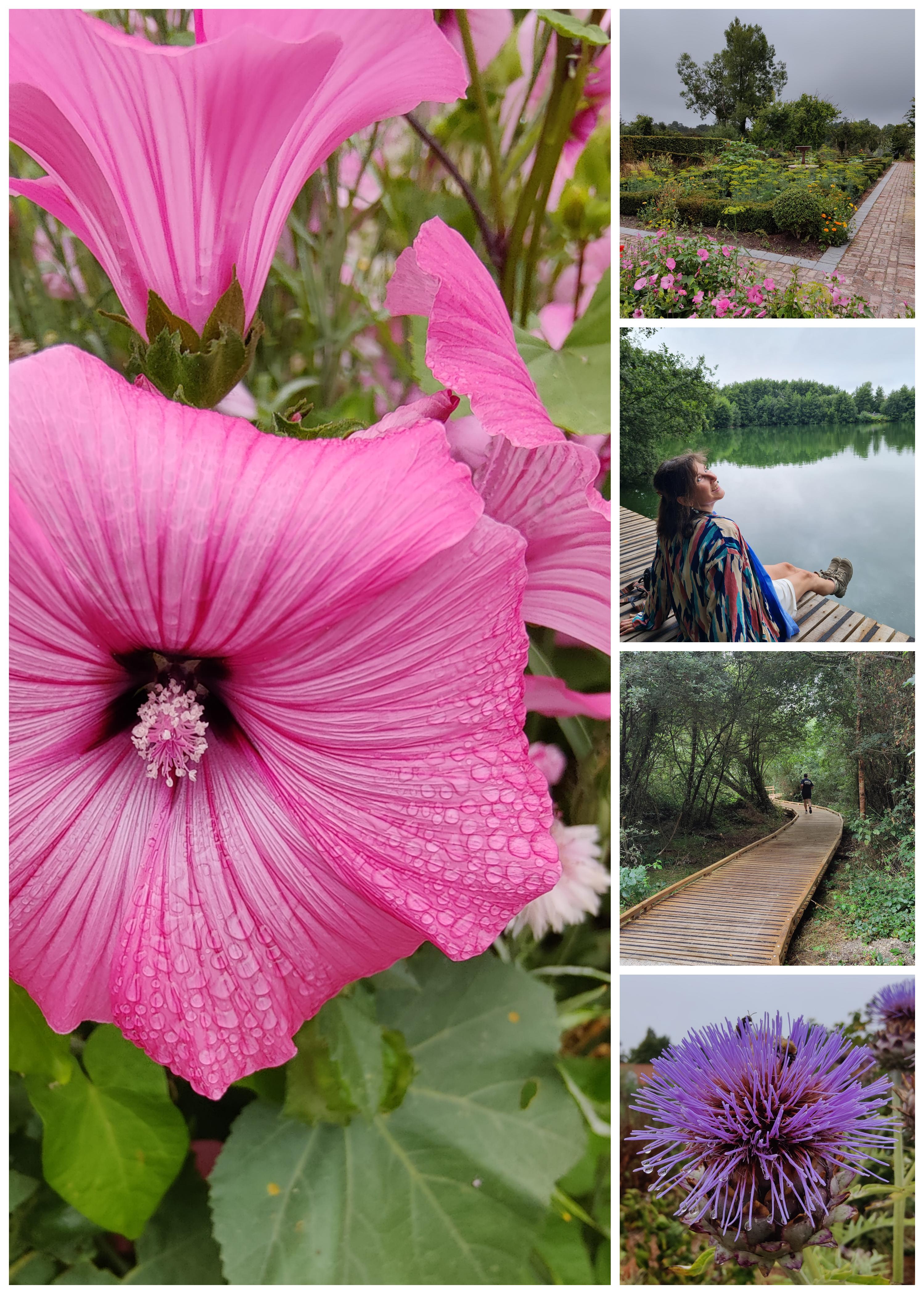collage of photos walking trail near lake and colourful flowers in castle garden